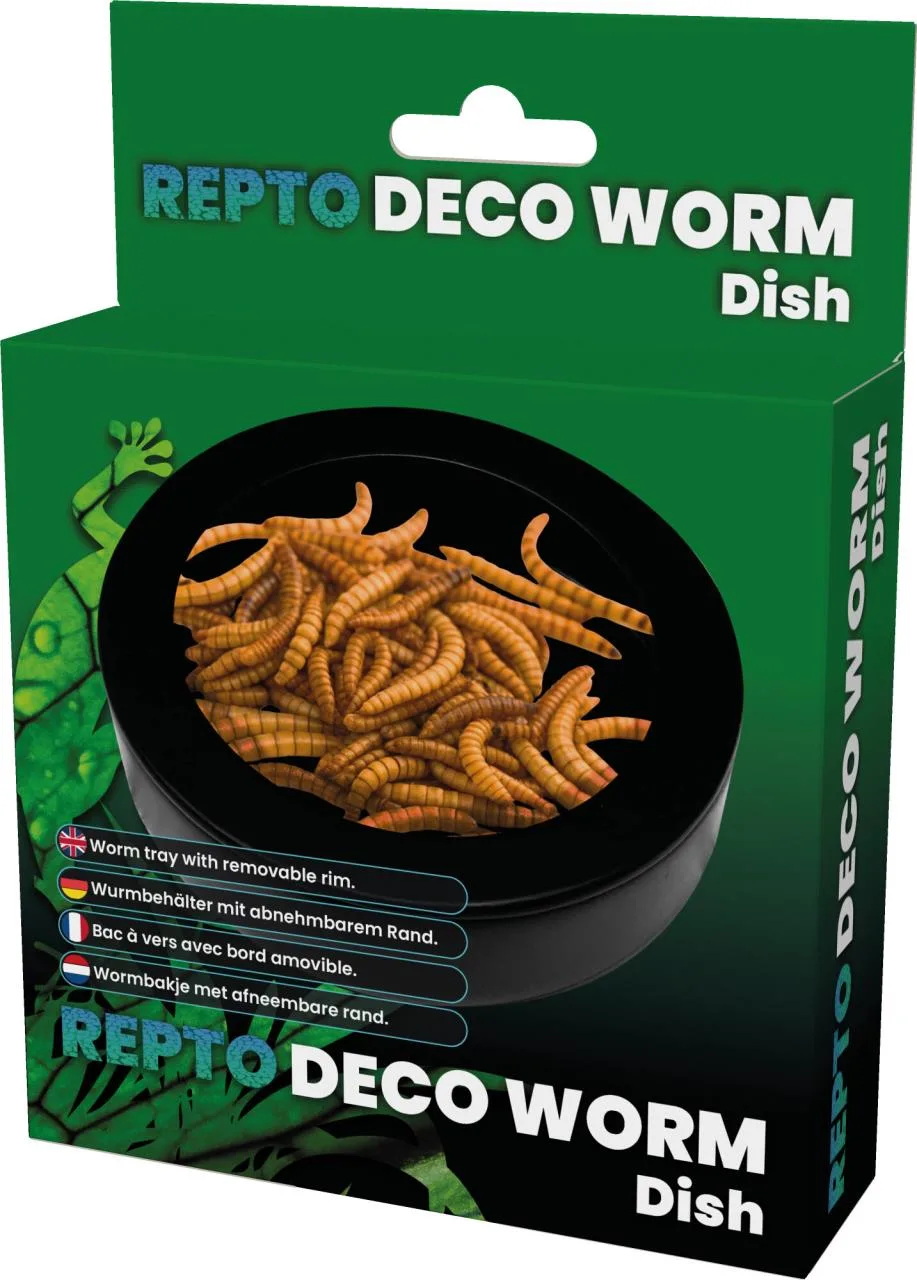 Ciotola per vermi - Worm Dish Ciotola per vermi - Worm Dish