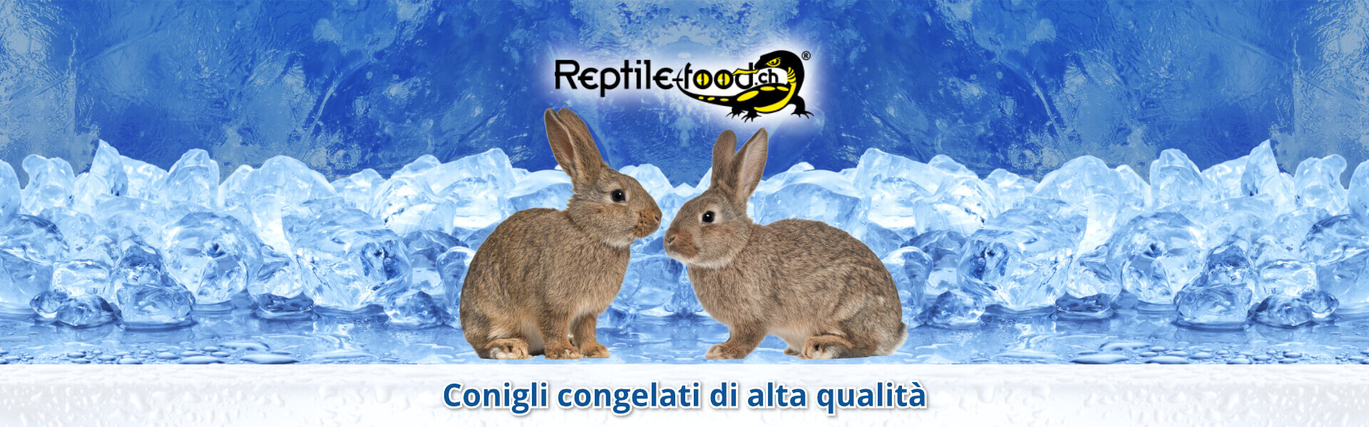 Conigli congelati di alta qualità Conigli congelati di alta qualità