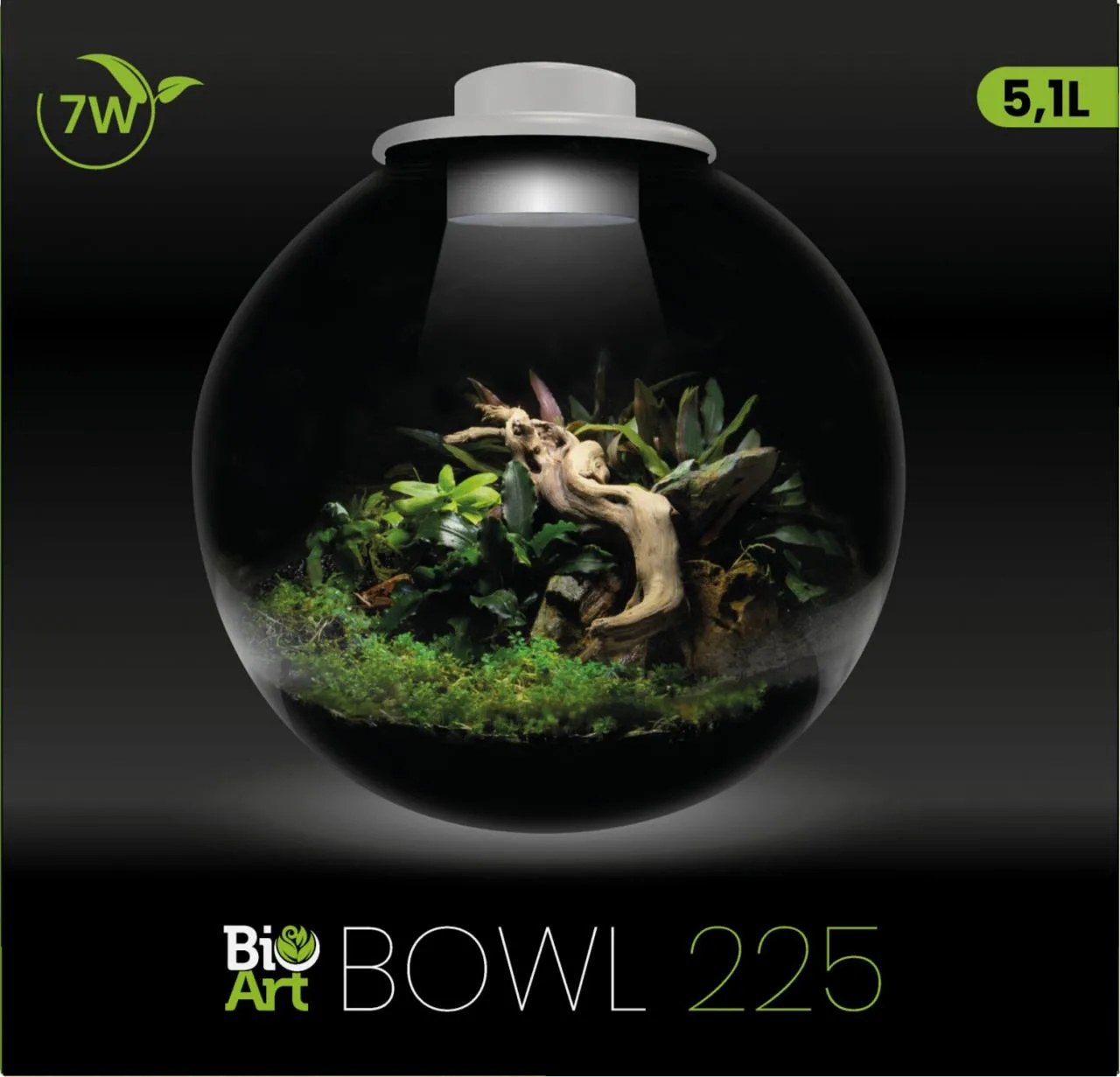 BioArt Bowl 225 Bianco
