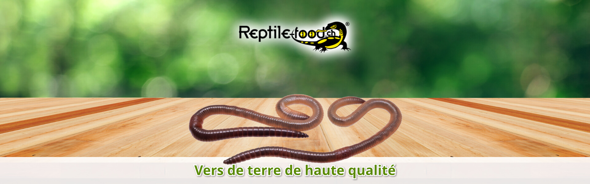 Vers de terre de haute qualité Vers de terre de haute qualité