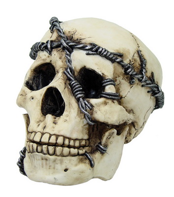 766-5685 Schädel mit Stacheldraht umwickelt