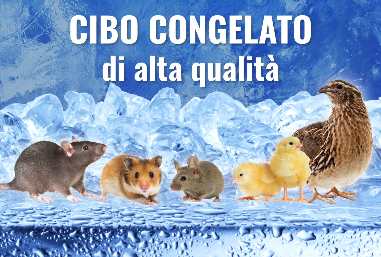 Cibo congelato di alta qualità Cibo congelato di alta qualità