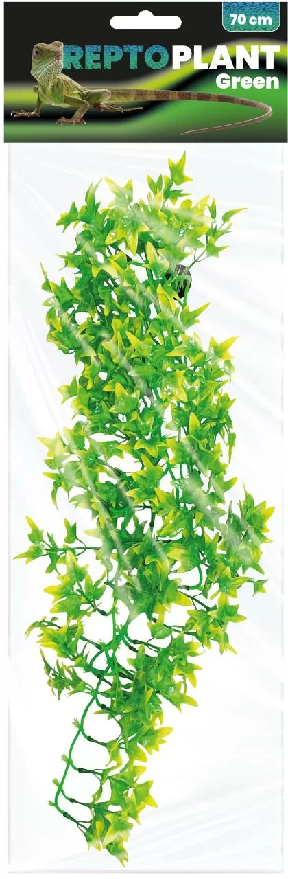 R5100085_54952 Repto Plant Verde / Giallo 70 cm