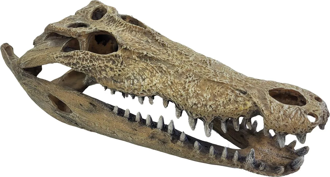 R5100365_9787 Repto Deco Crododile XXL