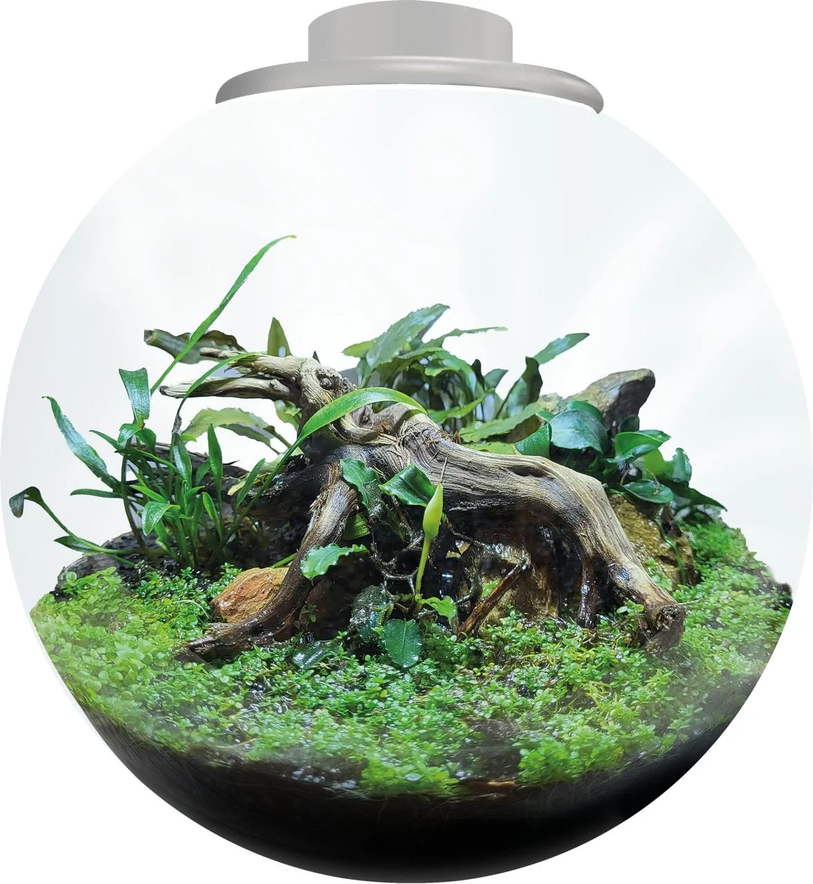 BioArt Bowl 225 Bianco BioArt Bowl 225 Bianco