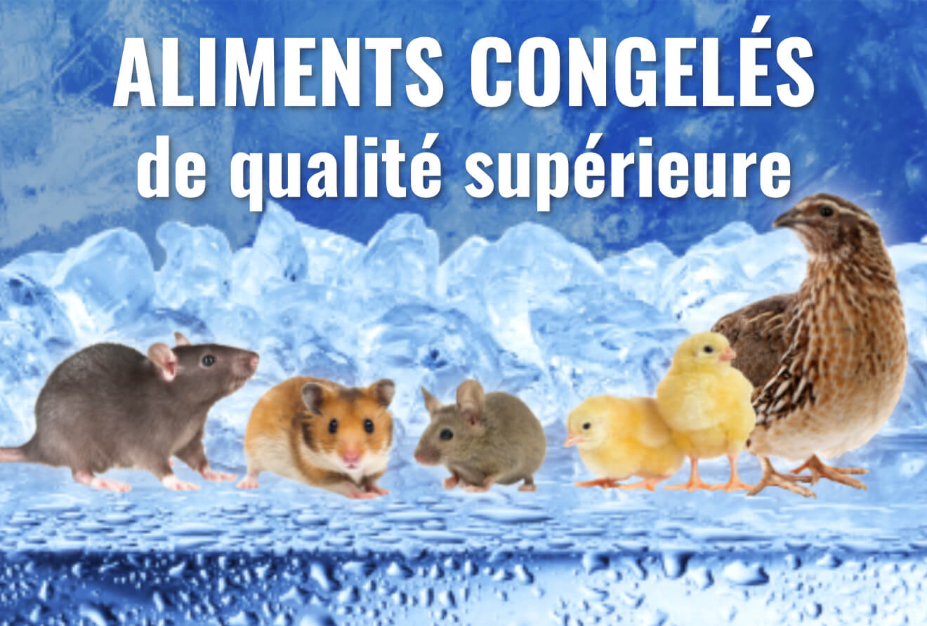 Aliments congelés de qualité supérieure Aliments congelés de qualité supérieure