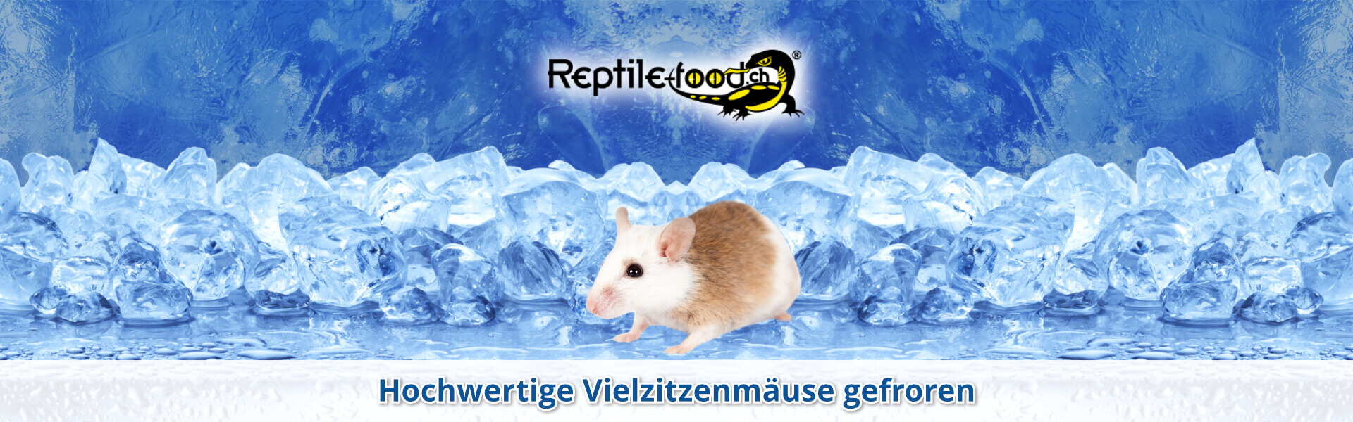Vielzitzenmäuse gefroren Vielzitzenmäuse gefroren