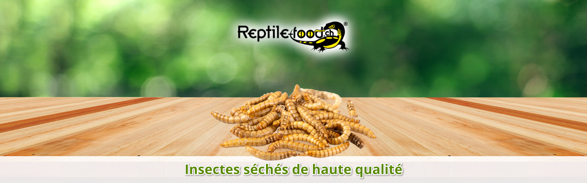 Insectes séchés de haute qualité Insectes séchés de haute qualité
