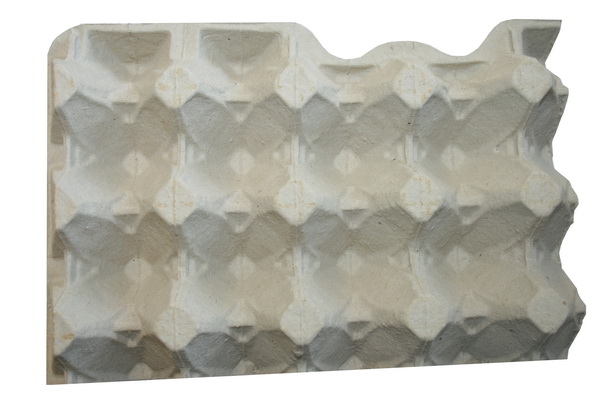 Eierkarton für Insekten Eierkarton für Insekten