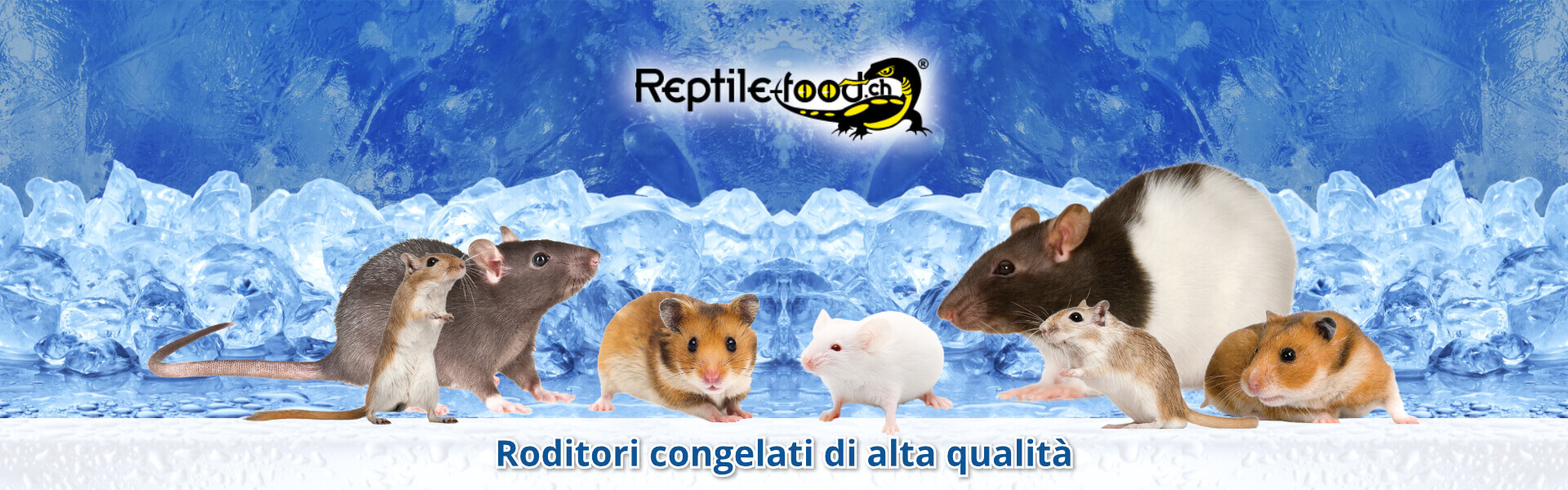 Roditori congelati di alta qualità Roditori congelati di alta qualità
