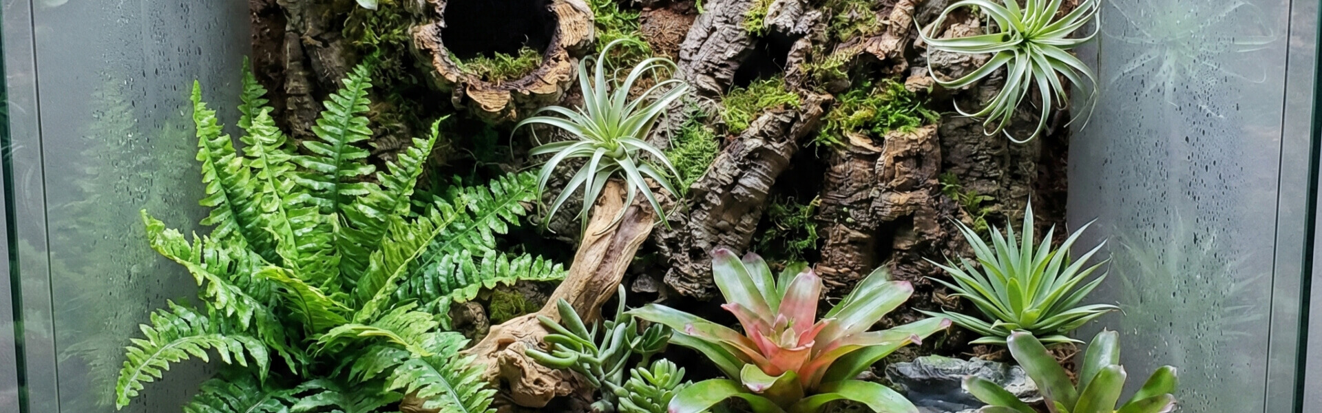 Terrarium Kunstpflanzen Terrarium Kunstpflanzen