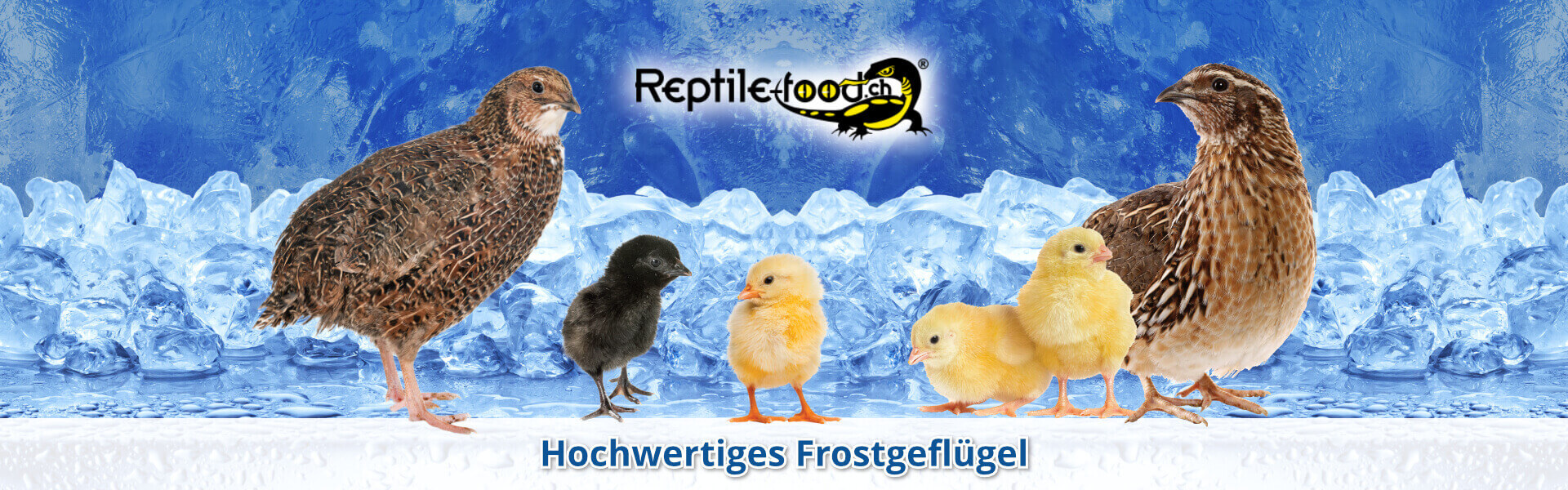 Frostgeflügel Frostgeflügel