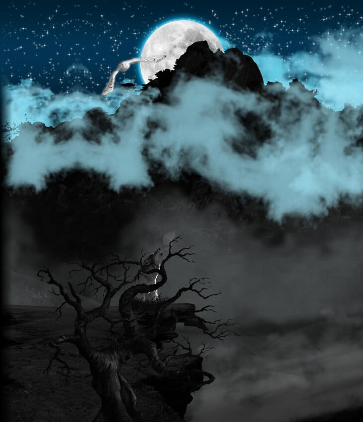 Mystic Shop articoli