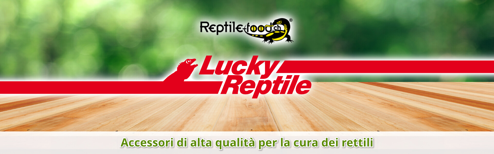 Lucky Reptile accessori Lucky Reptile accessori