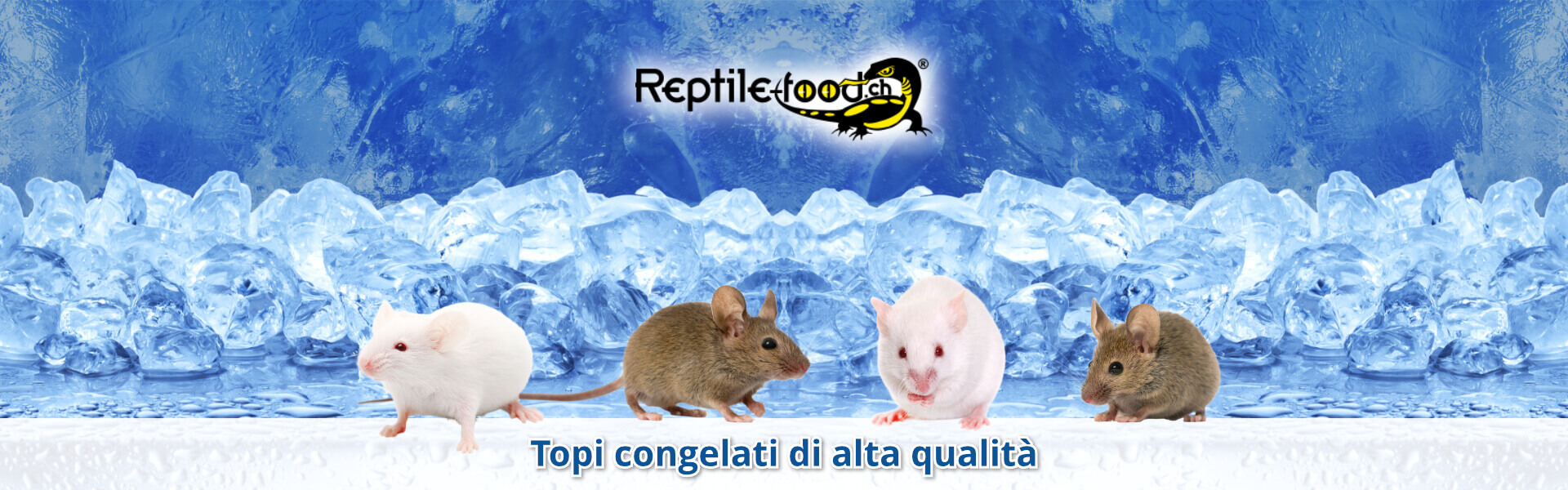 Topi congelati di alta qualità Topi congelati di alta qualità