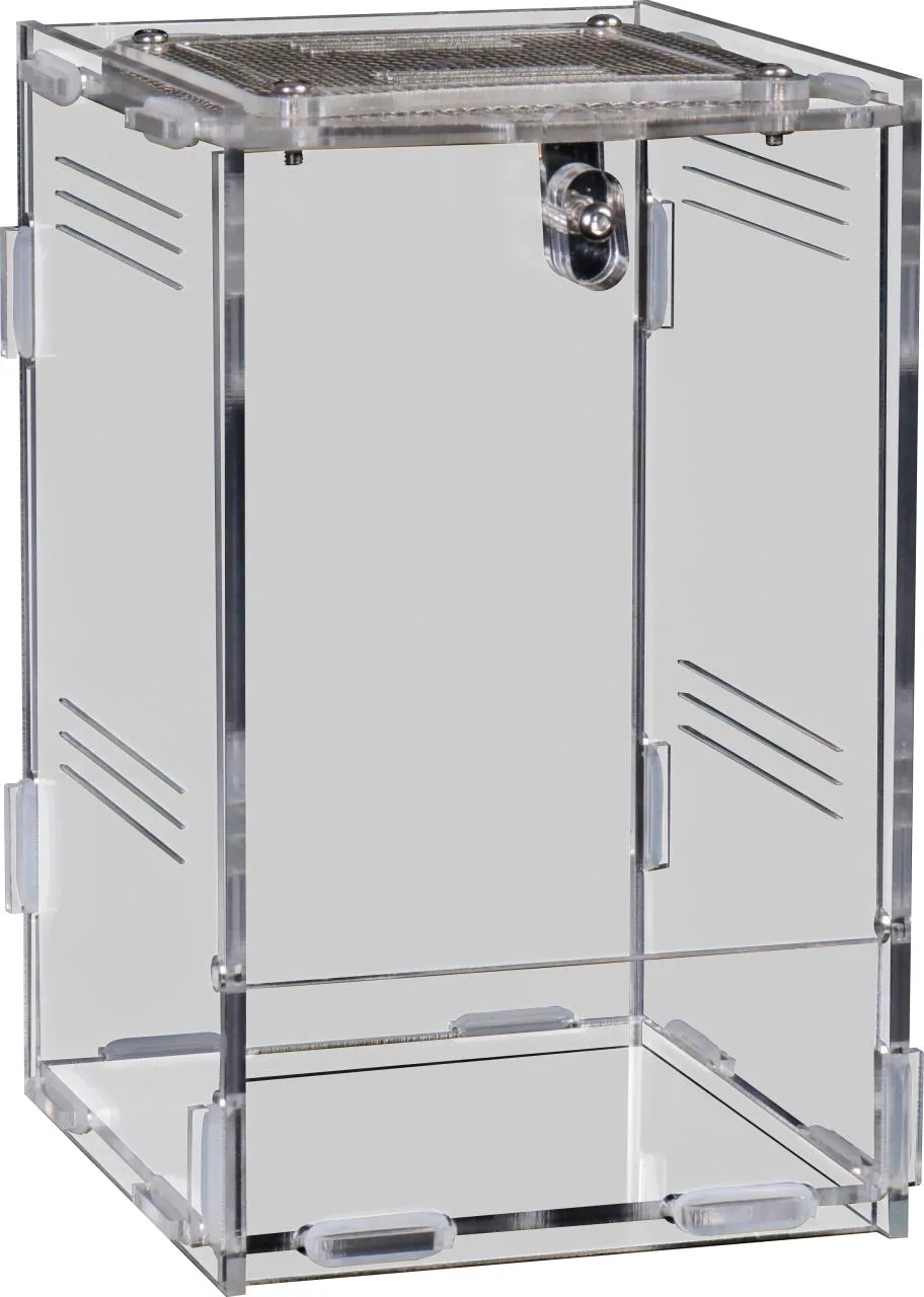 Repto Terra Clear 11,5x10x16,5