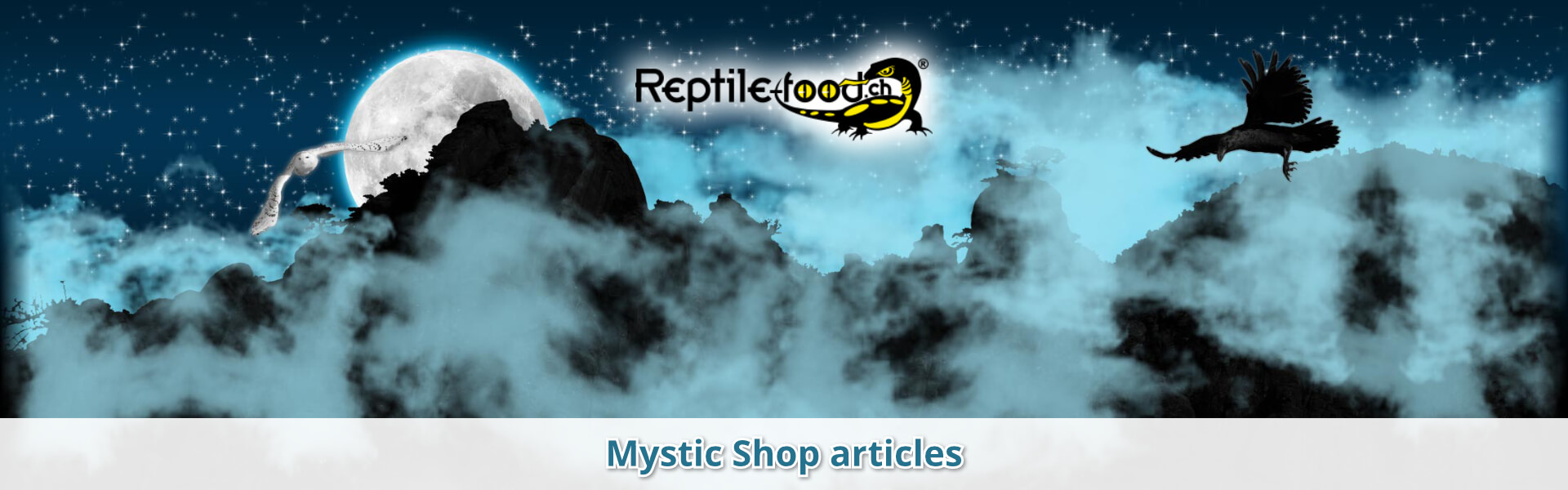 Mystic Shop articles Mystic Shop articles