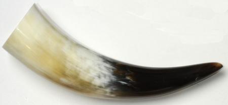 Bicchieri e corni da bevanda (shot) 0,05 L