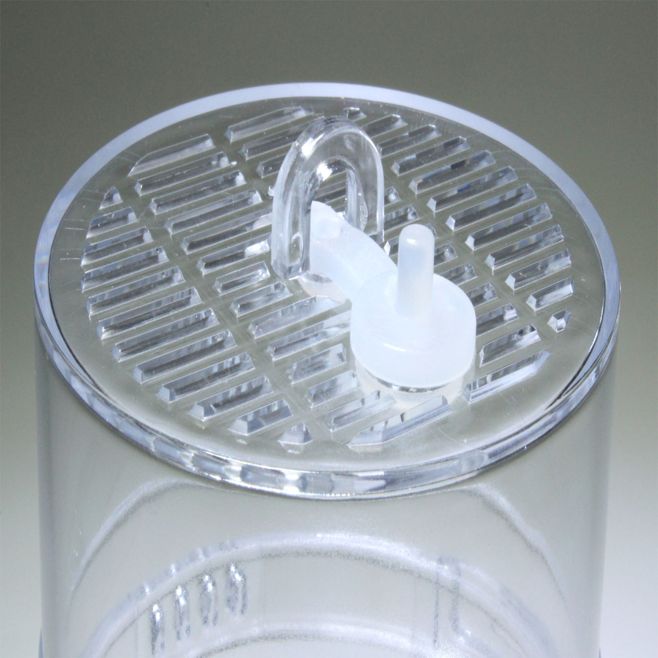 Lucky Reptile Critter Box Lucky Reptile Critter Box