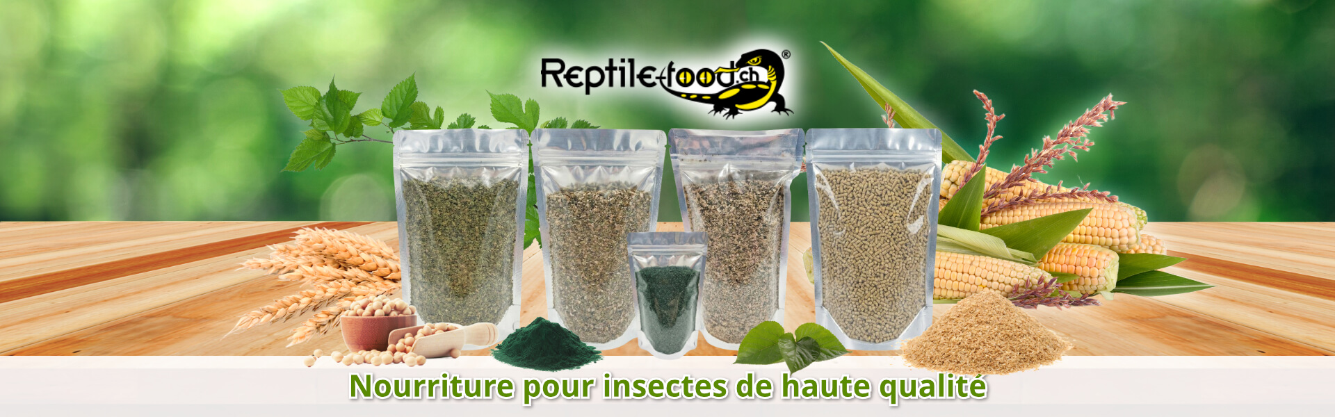 Nourriture pour insectes de haute qualité Nourriture pour insectes de haute qualité