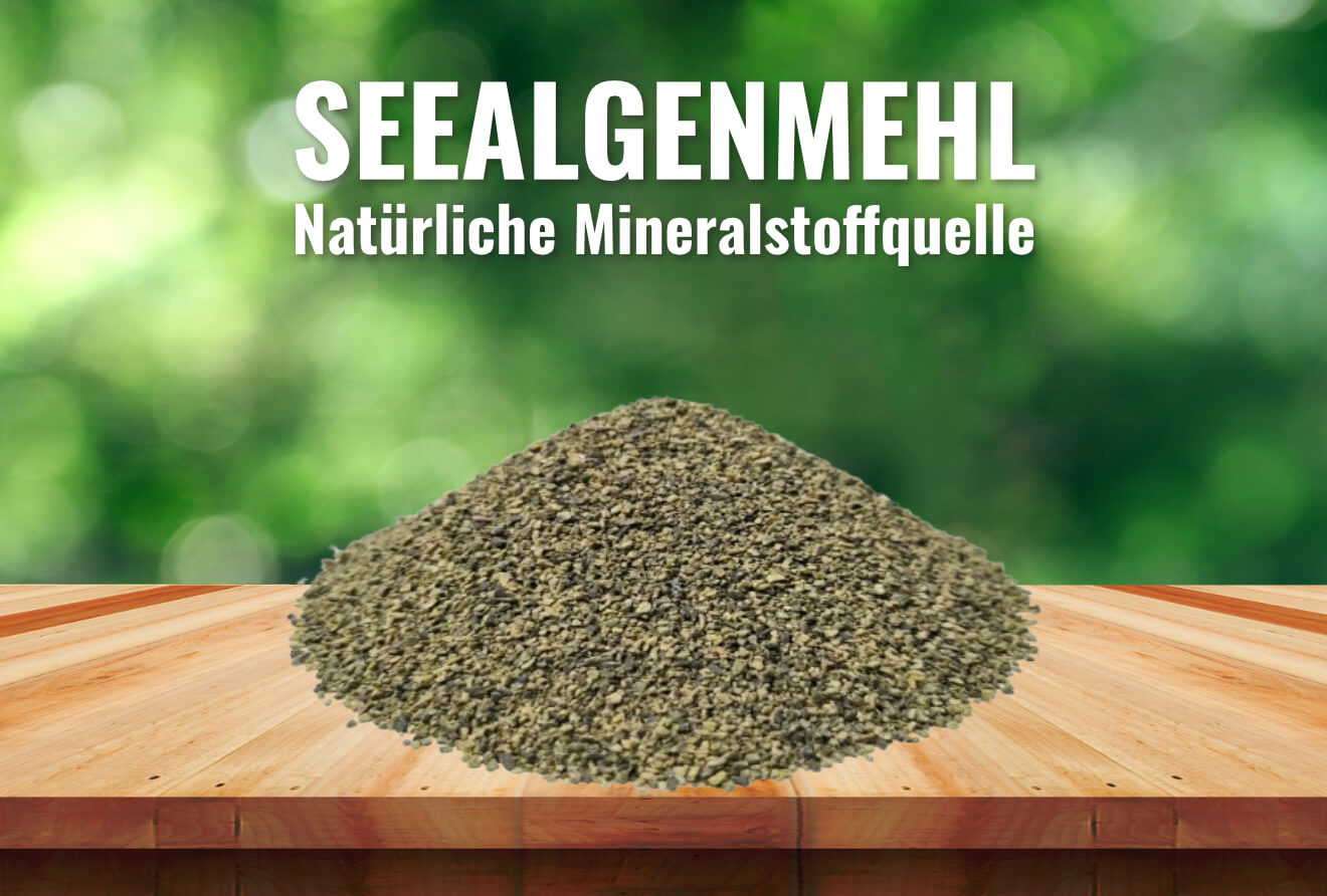 Seealgenmehl - Natürliche Mineralstoffquelle