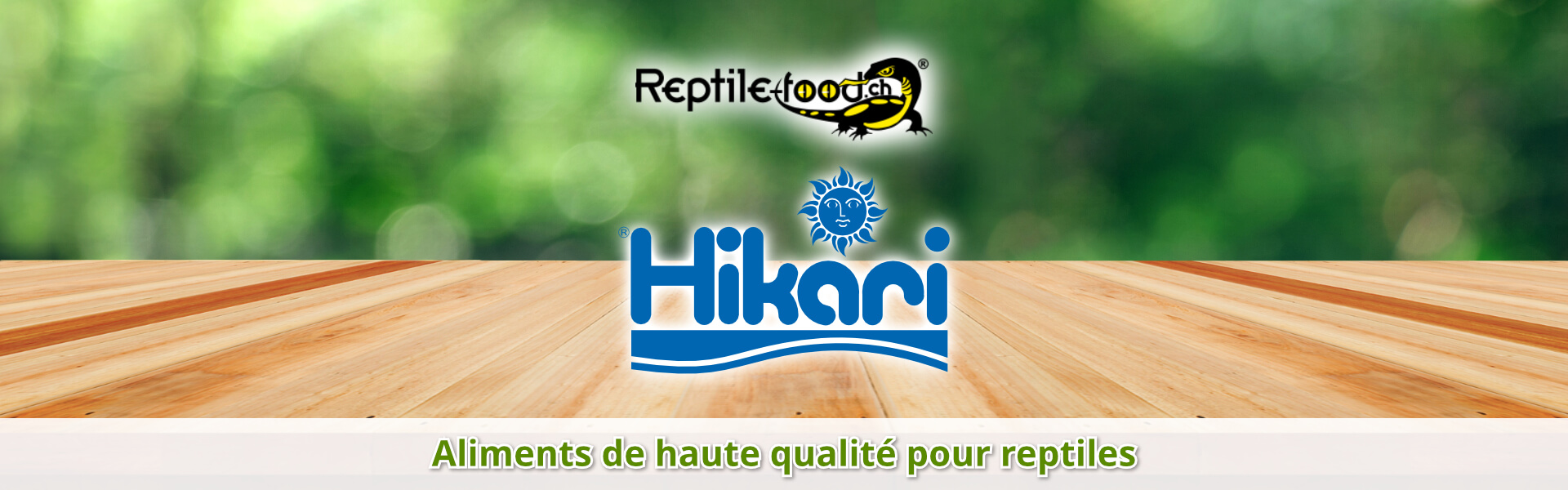 Hikari Hikari