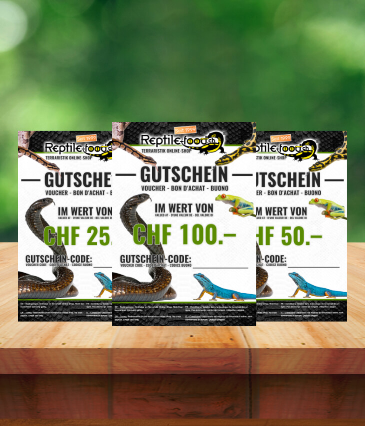 Reptile-Food Buoni regalo