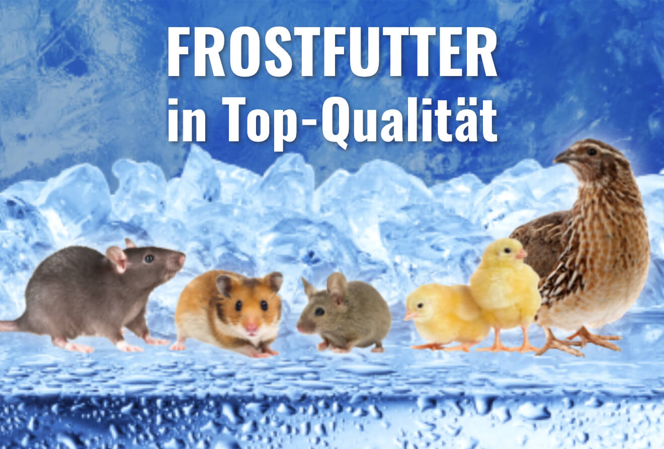 Frostfutter