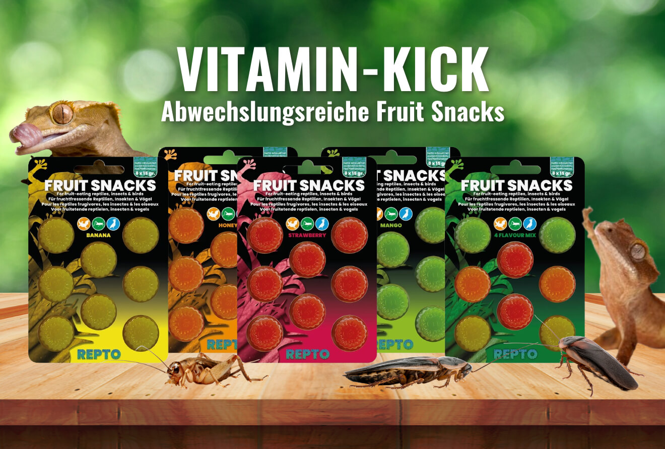 Vitamin-Kick - Abwechslungsreiche Fruit Snacks