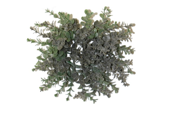 Eukalyptus-Busch-90530-Web Eukalyptus Busch rund ca. 25cm