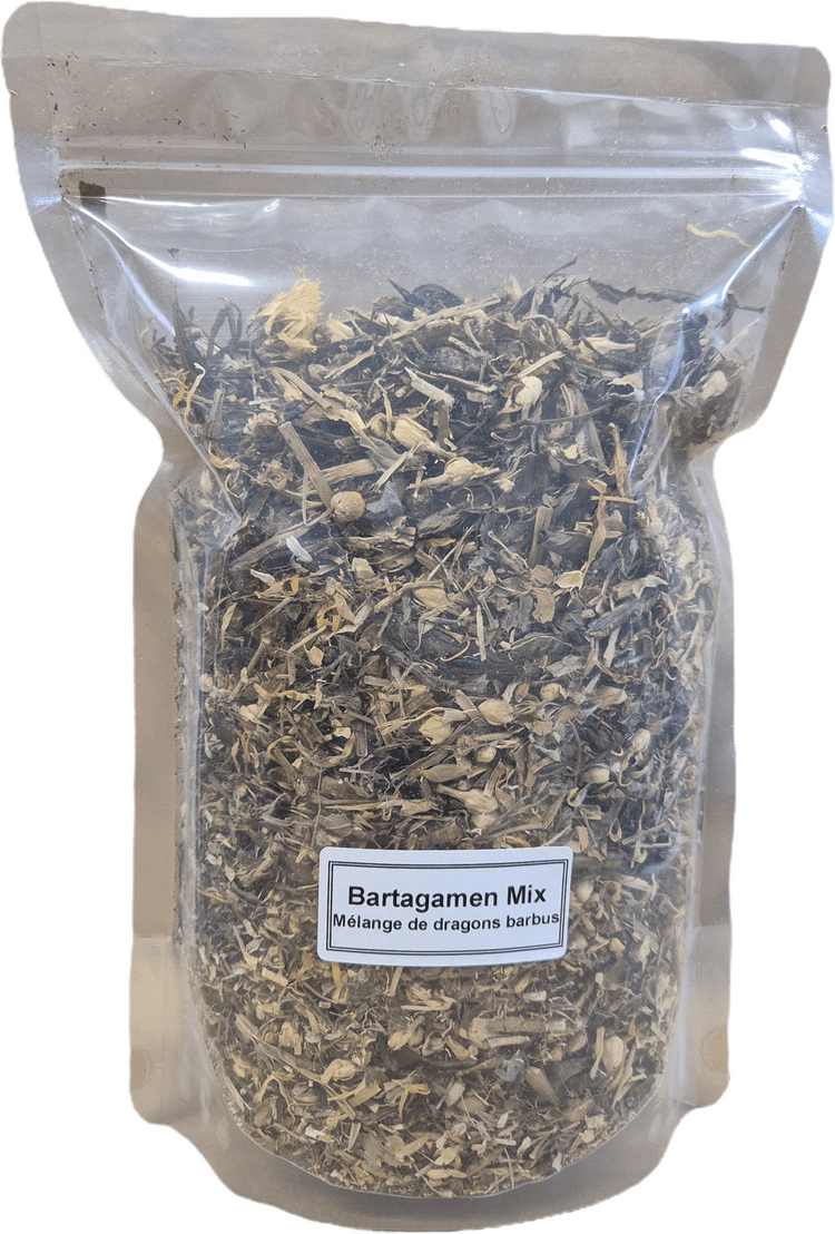 Barti-Mix Mélange de dragons barbus