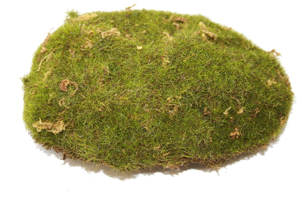 Moos-K-nstlich-Web Mousse artificielle ca.15x11cm