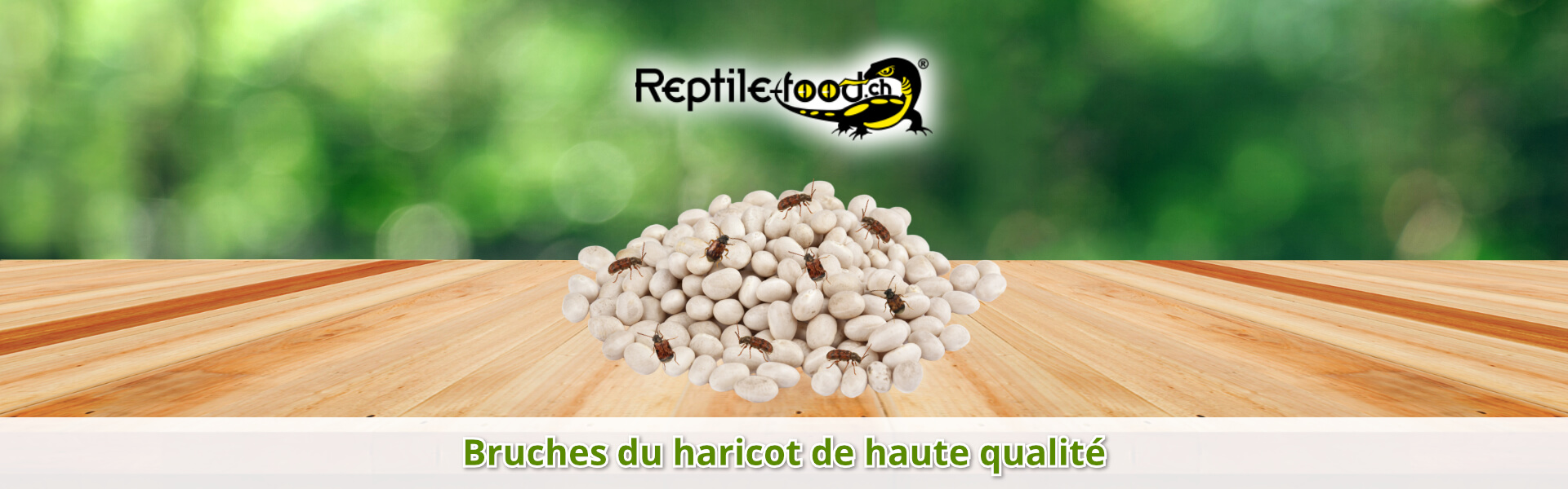 Bruches du haricot de haute qualité