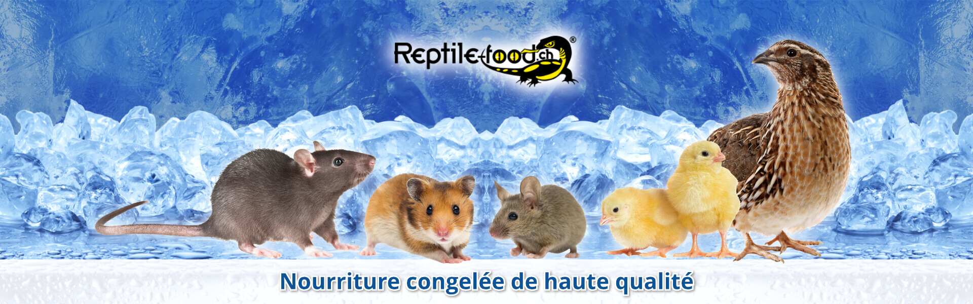 Nourriture congelée de haute qualité Nourriture congelée de haute qualité
