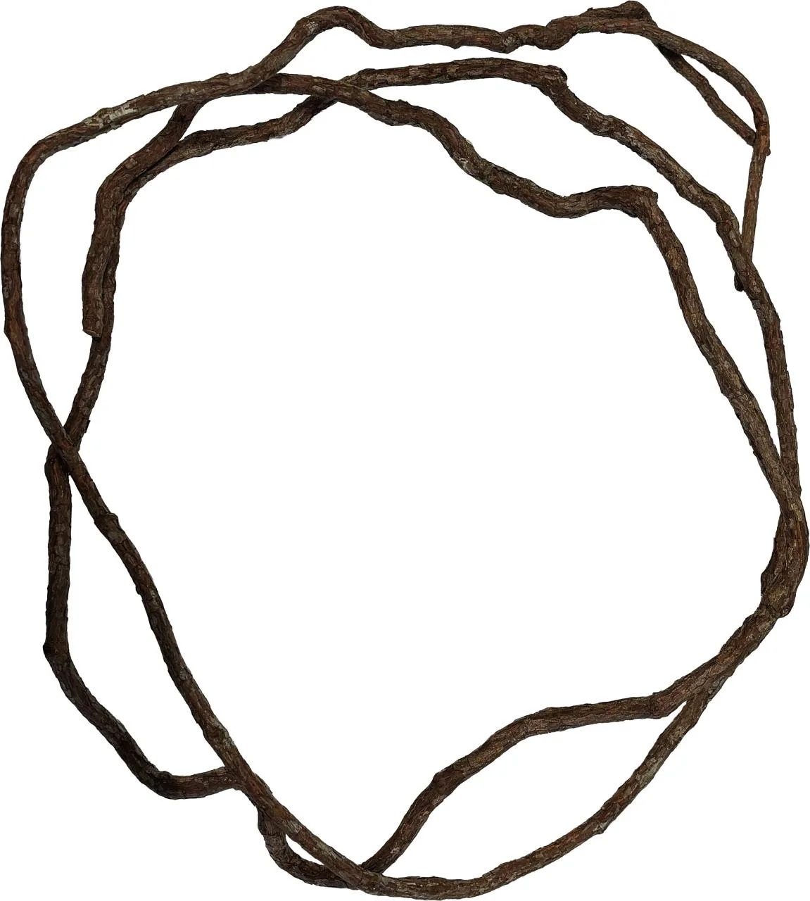 Repto Vite rampicante 300cm