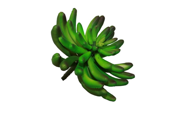 SukkulentGr-nGross-Web Sukkulent grün gross ca. 12cm