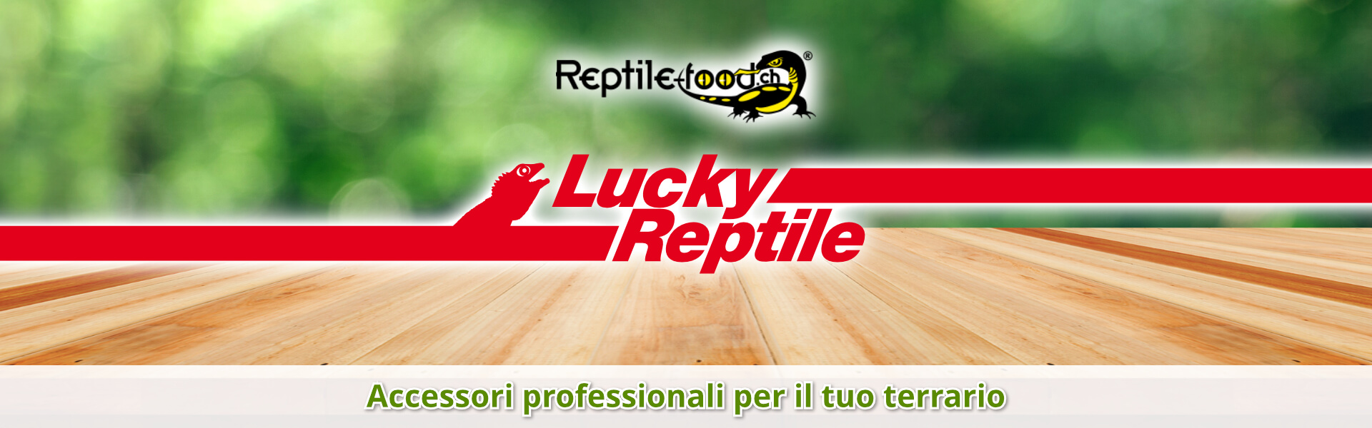 Lucky Reptile