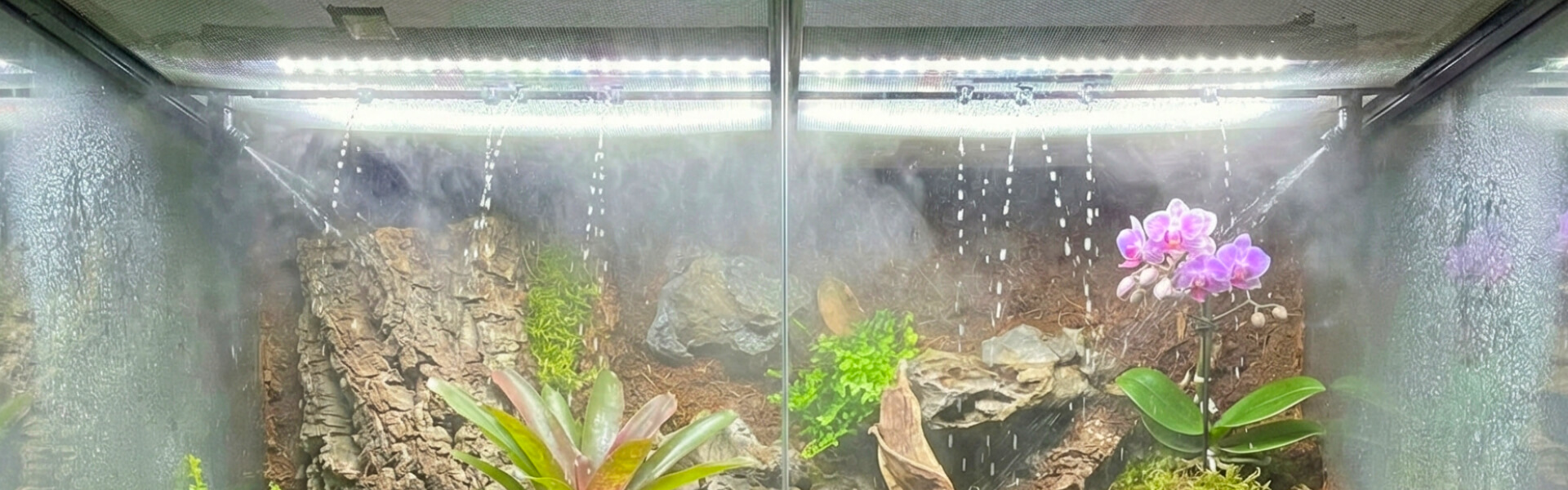 Terrarium Technik & Beleuchtung