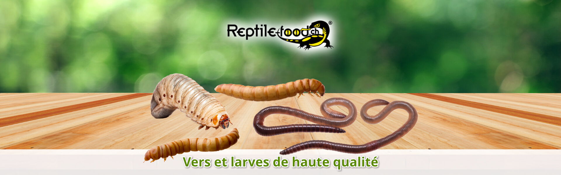 Vers et larves de haute qualité