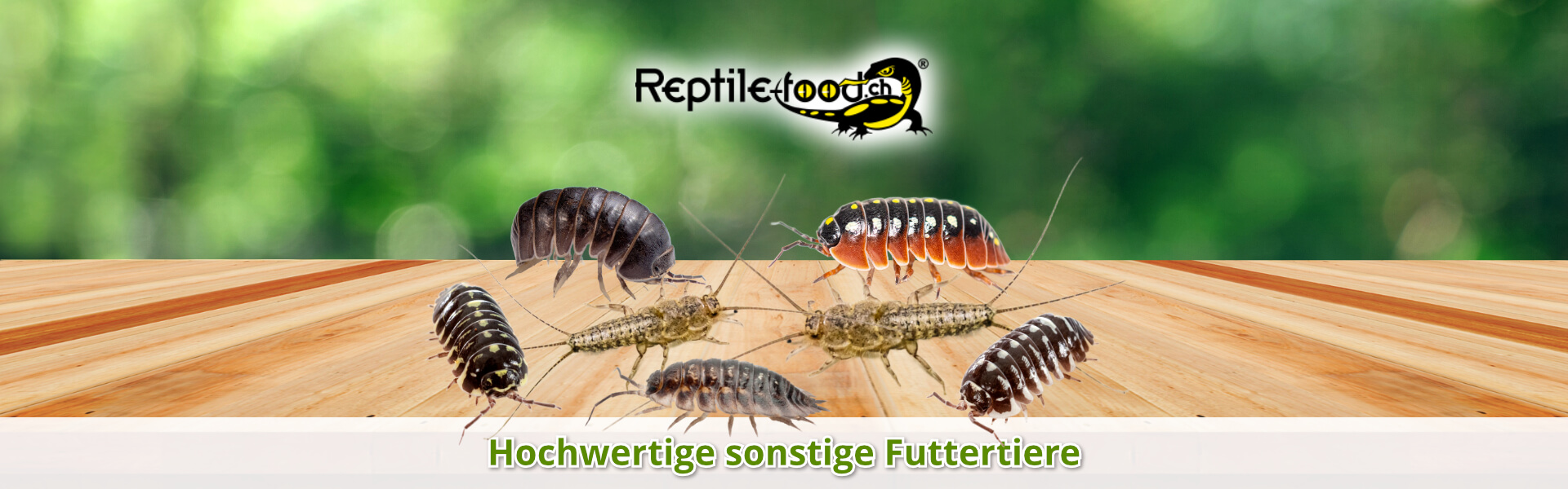 Sonstige Futtertiere als Futterinsekten Sonstige Futtertiere als Futterinsekten