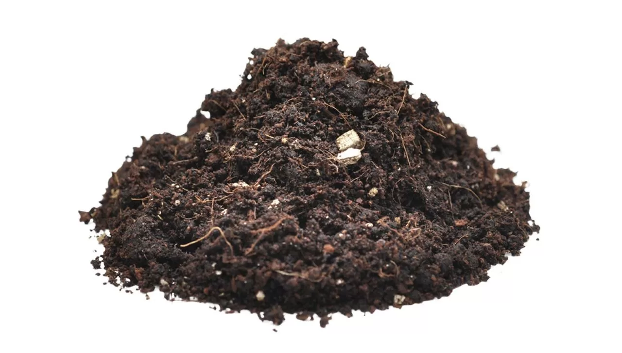 Substrato per Aracnidi e scavatori 5 L Substrato per Aracnidi e scavatori 5 L