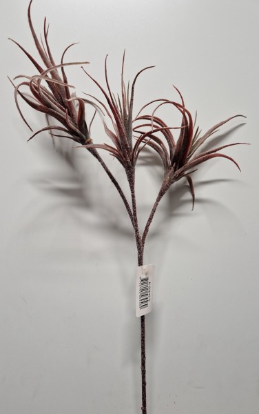 Trio Tilandsia Rot 60cm