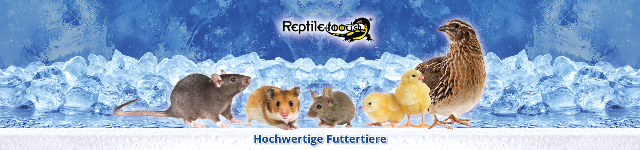 promo-futtertiere-de