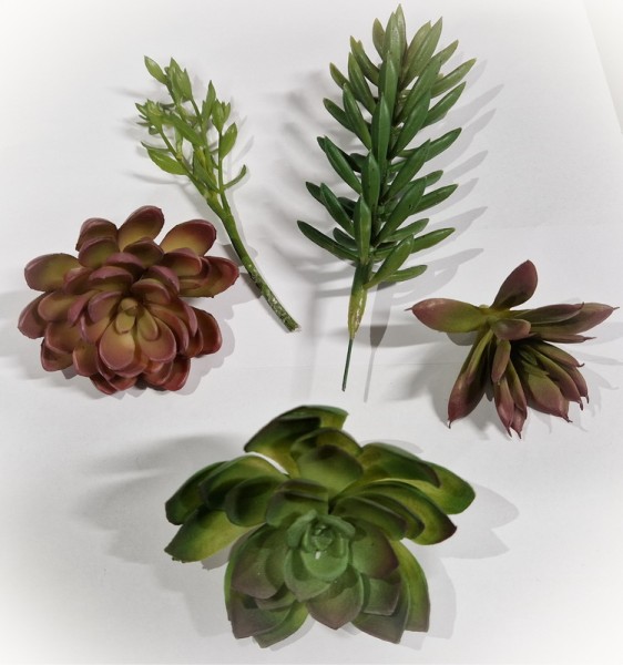 Set de 5 petites plantes