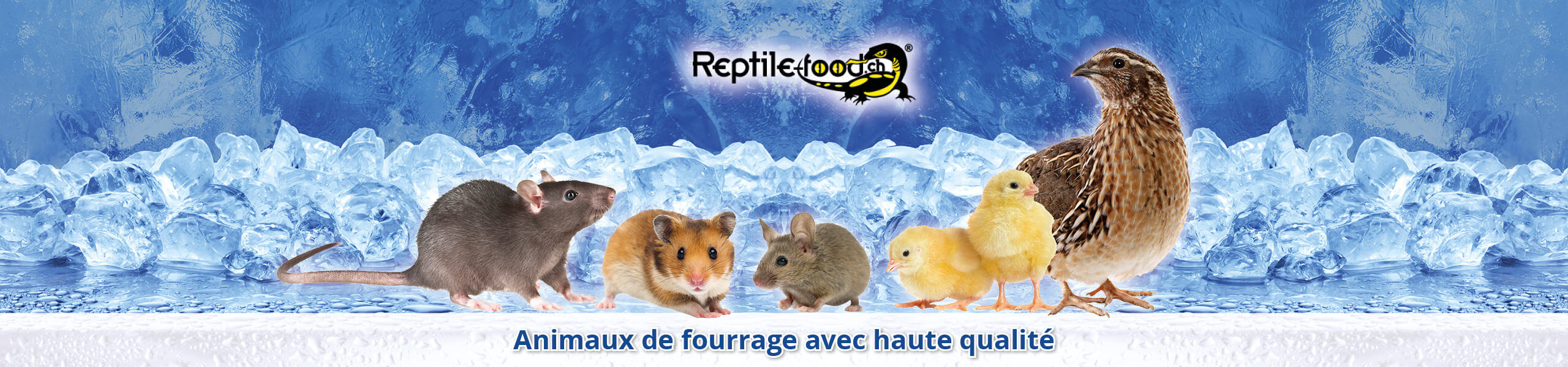 promo-futtertiere-fr