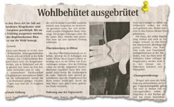 Zeitungsbericht