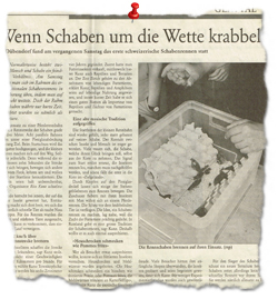 Zeitungsbericht