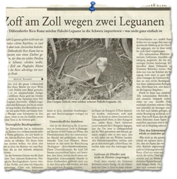 Zeitungsbericht